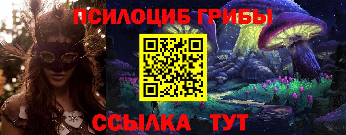 Среднеуральск  Псилоцибиновые грибы прущие грибы  цены наркотик  Вход с VPN 