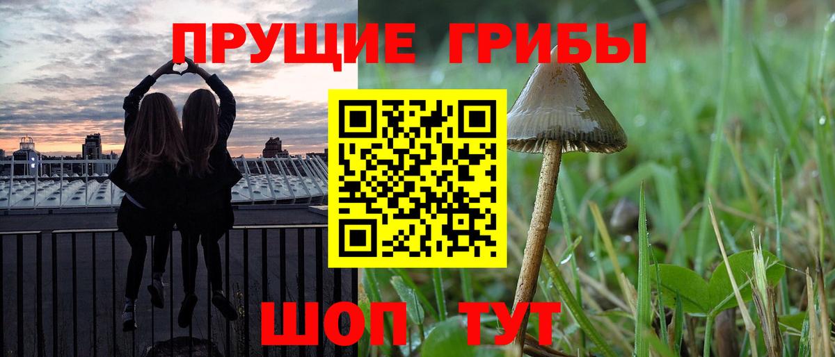 Галлюциногенные грибы Cubensis Среднеуральск